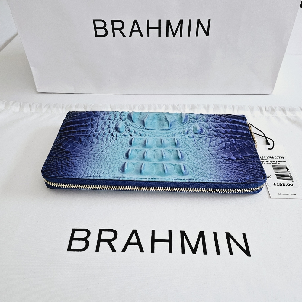 NWT Brahmin Affinity Ombre Melbourne Skyler Clutch - Picture 3 of 16